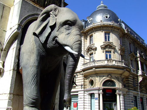 chambery-savoie-elephants