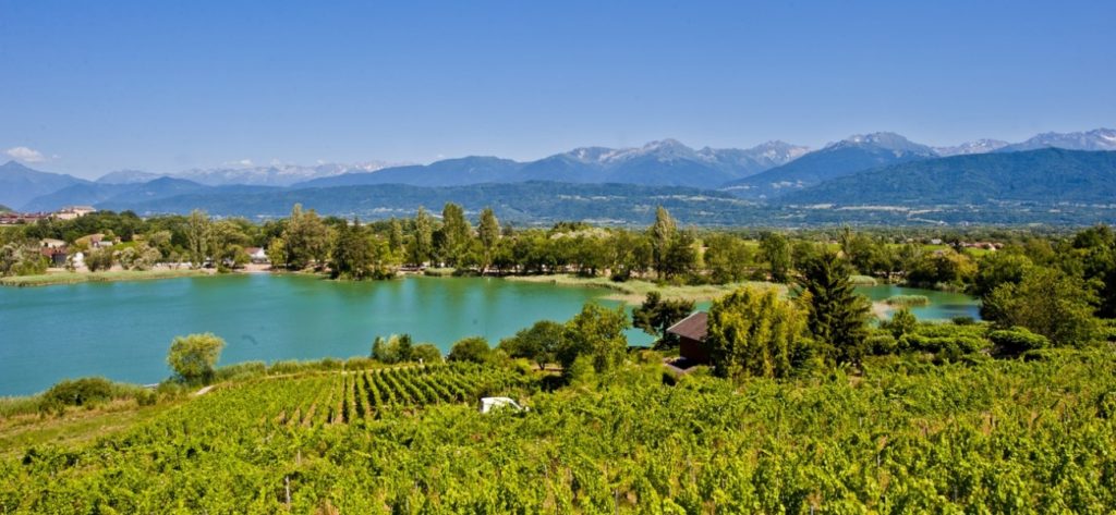 Vue du Lac Saint André et des vignes en Combe de Savoie