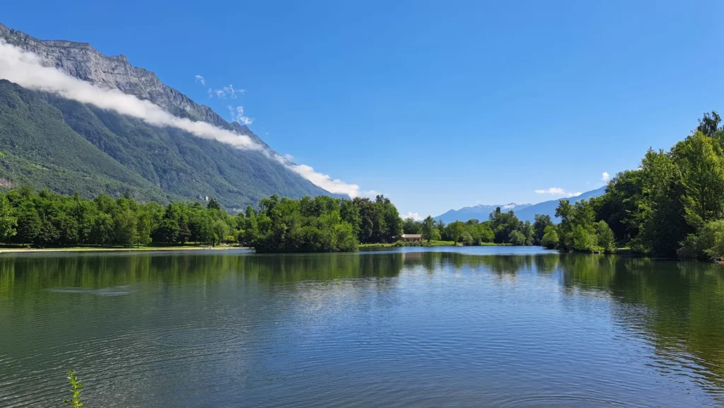 Rives dégagées du grand lac de Carouge pour la pêche des carnassiers