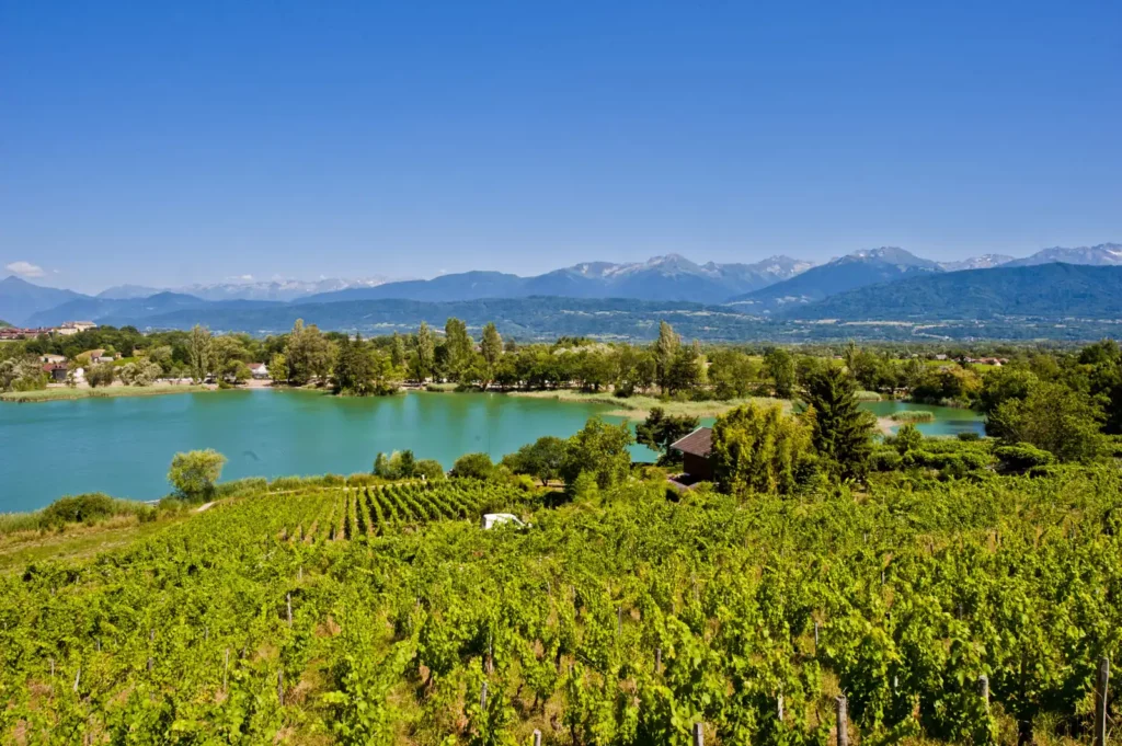 Vignes et lac Saint-André en Combe de Savoie