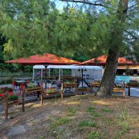 20240618_190519.jpg_compressed